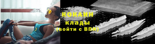 гидропоника Гусев