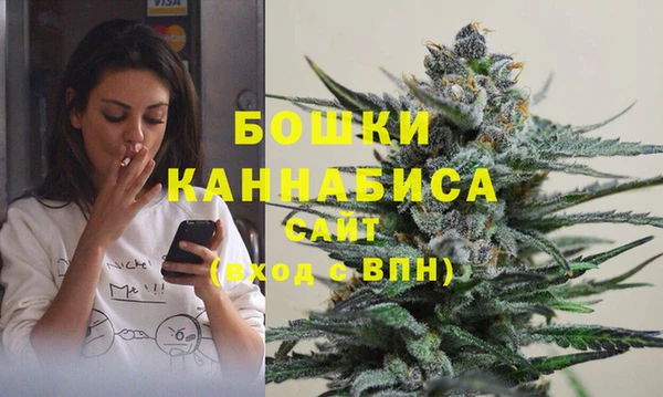 mix Гусиноозёрск