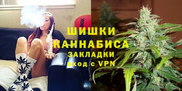гидропоника Гусев