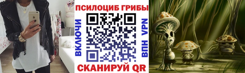 купить   Подольск  Галлюциногенные грибы Psilocybe 